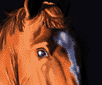 Valoracion : 9.5
