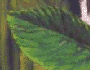 Valoracion : 8.7